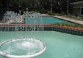 Sparkling Pool and Spa