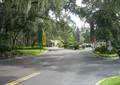 Tree-lined Entry